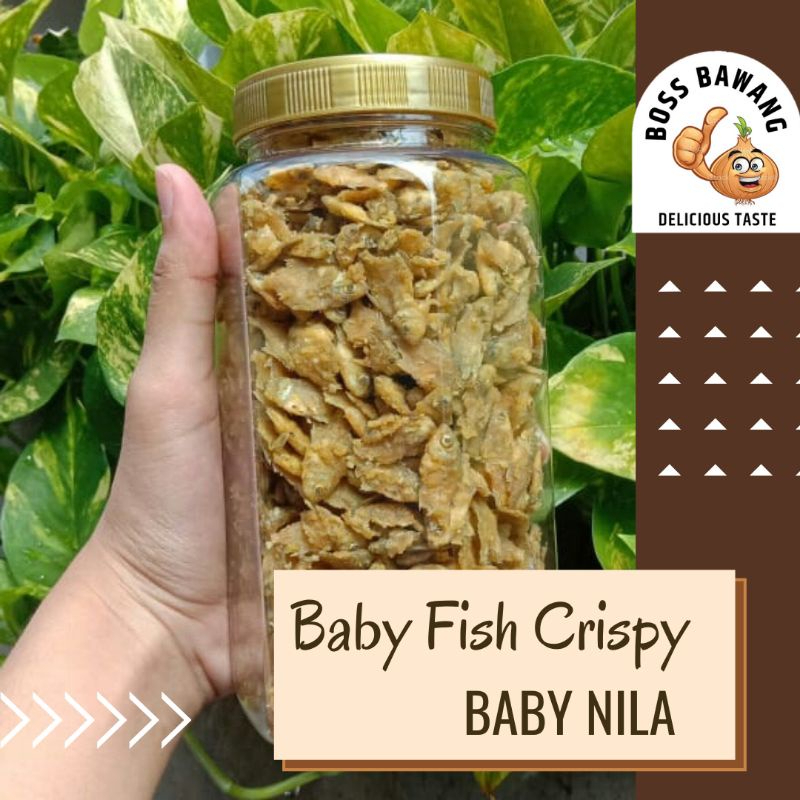 

Baby Fish Ikan Nila Goreng Crispy Toples 200gr / Baby Fish Crispy