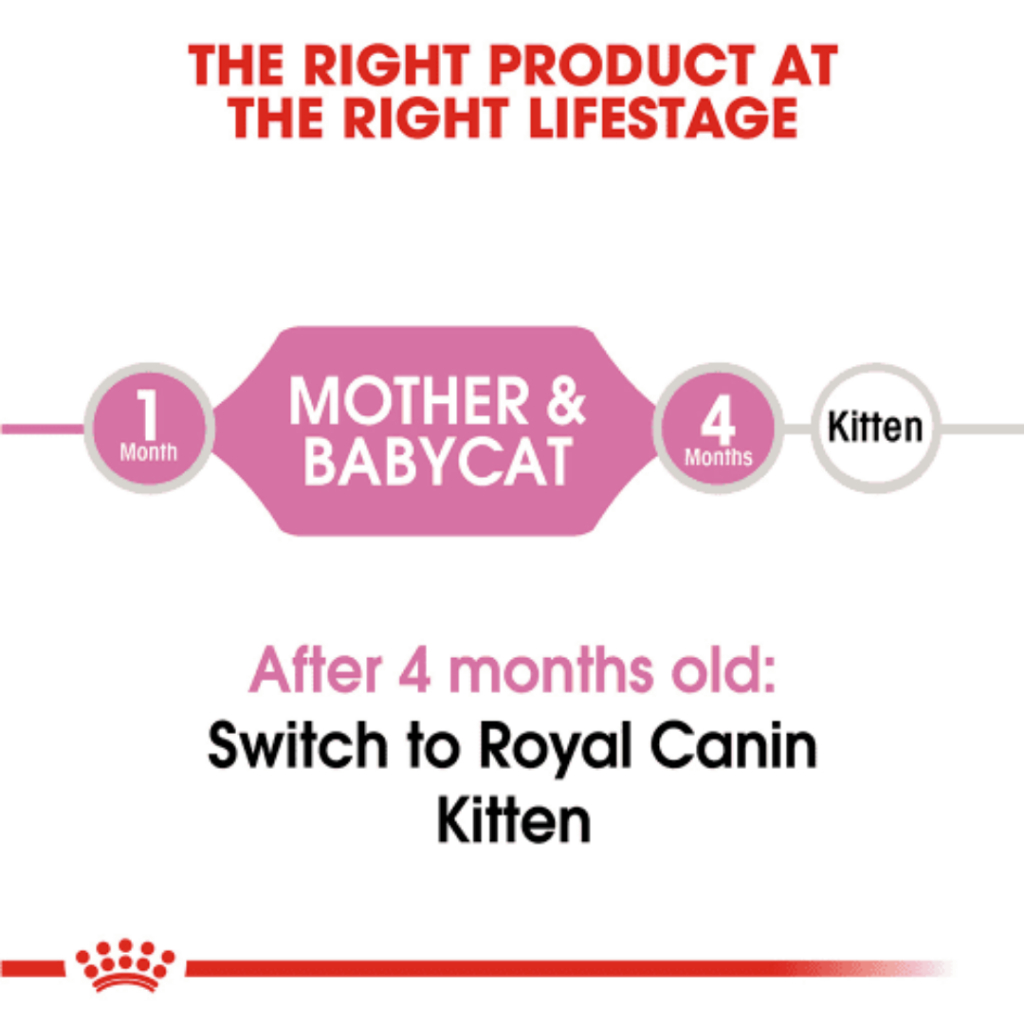 ROYAL CANIN MOTHER BABYCAT 300gr Repack