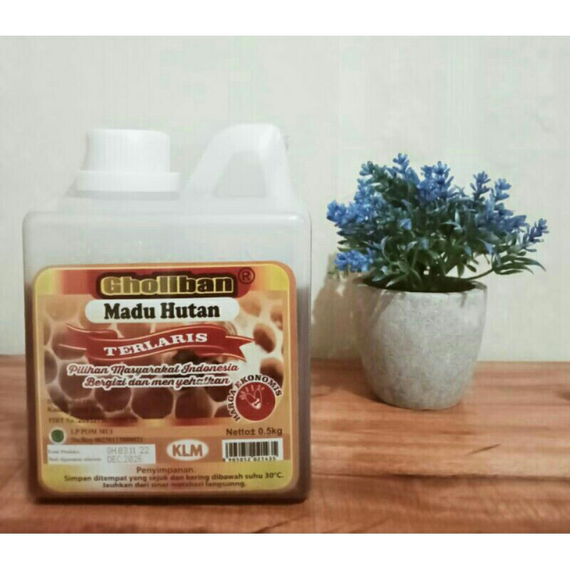 

MADU HUTAN KALIMANTAN 500 gram GHOLIBAN