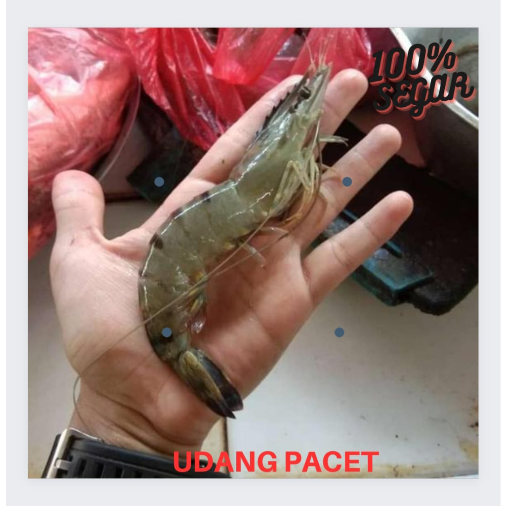 

Udang Pacet Segar 500gr