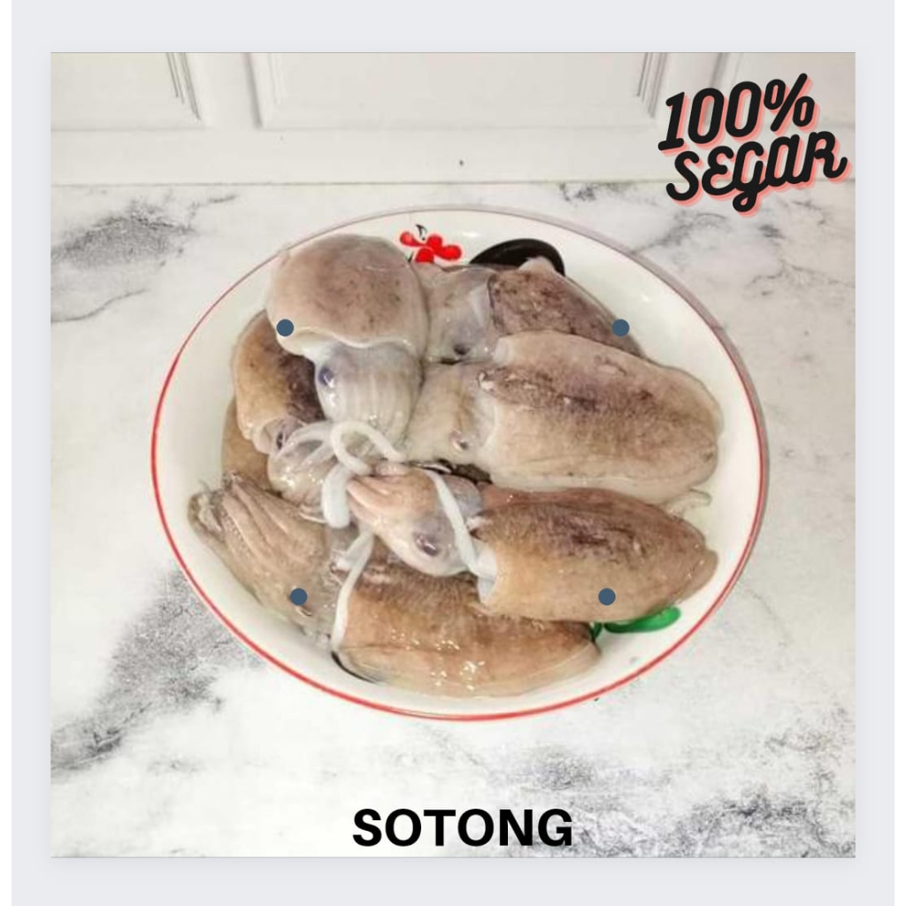 

Sotong Segar 500gr