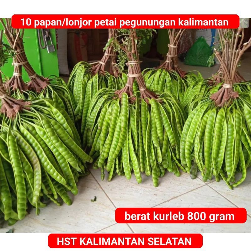 COD 10 papan petai/lonjor pegunungan kalimantan