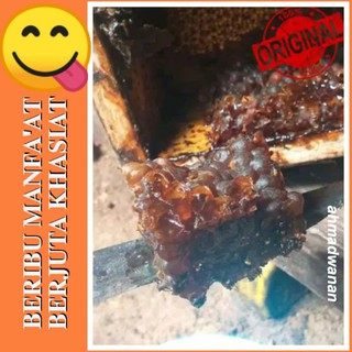 

Sarang Koloni Lebah Klanceng Sarang Madu Beekeeper Beekeeping Sarang Madu Klanceng