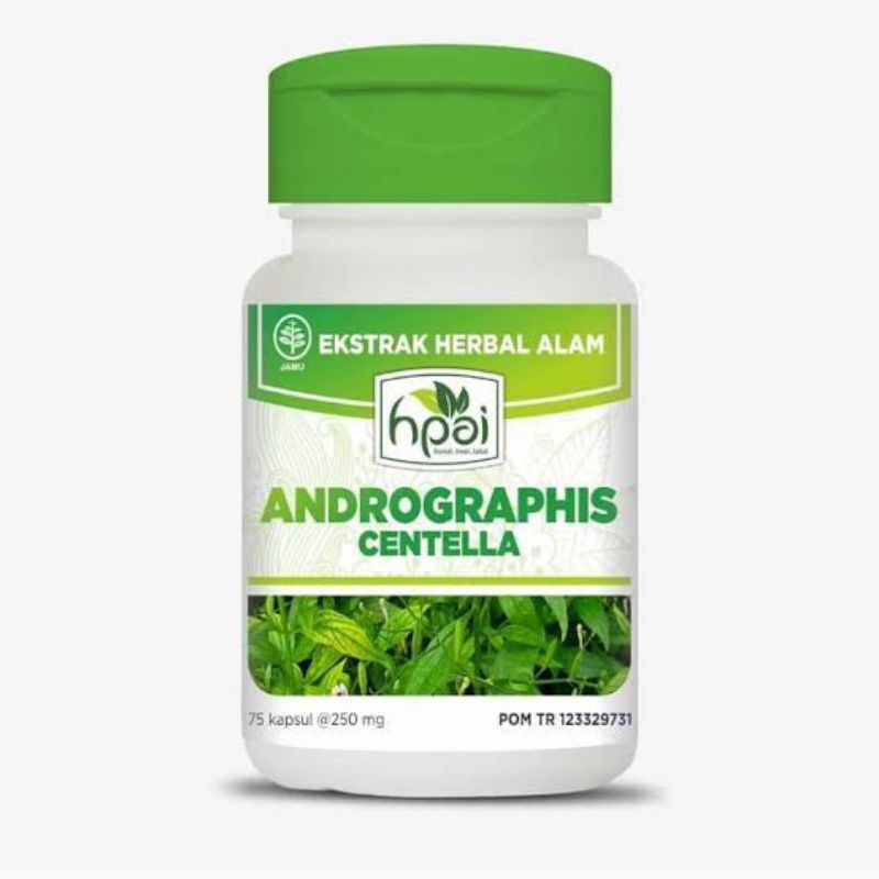 

ANDROGRAPHIS CENTELLA - Membantu Menurunkan Panas Meredakan nyeri
