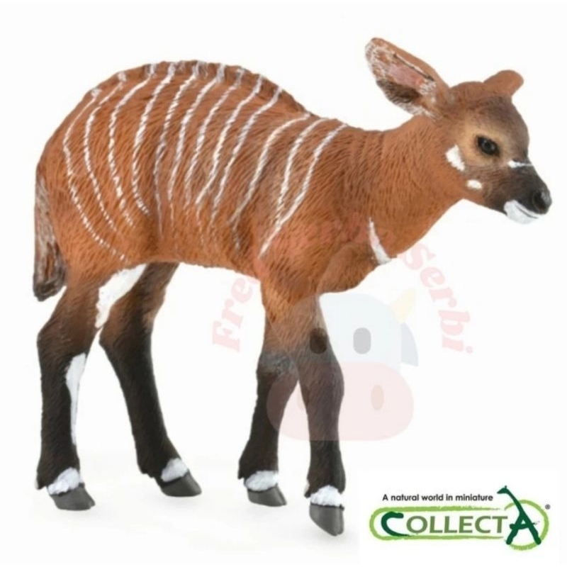 CollectA Bongo calf
