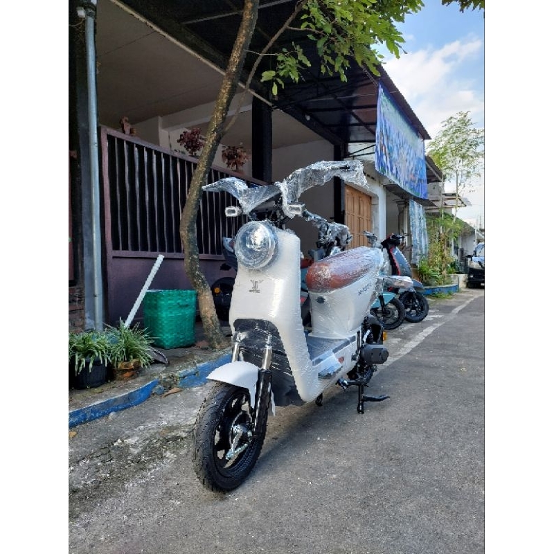 Sepeda Listrik Uwinfly DF8