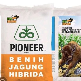 Benih jagung Pioner p21 1kg