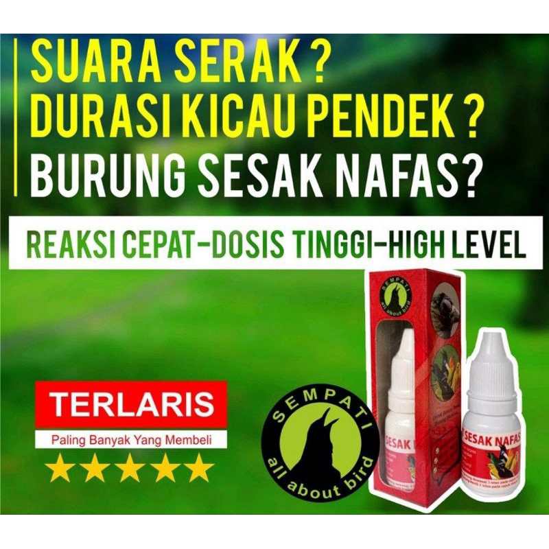 Obat Sesak Nafas Sempati Mengobati Burung Gangguan Pernafasan Macet Bunyi Suara Serak Bengkak Hidung