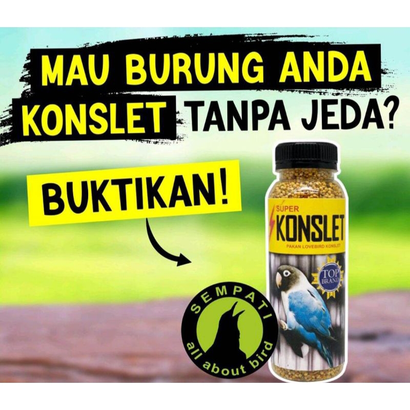Pakan Super Konslet Sempati Milet Racikan Burung Lovebird Love Bird Lomba Seketika Spontan Fighter D