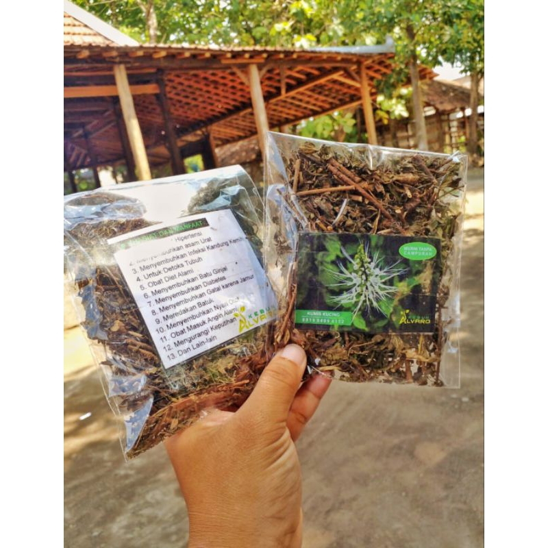 

daun kumis kucing herbal