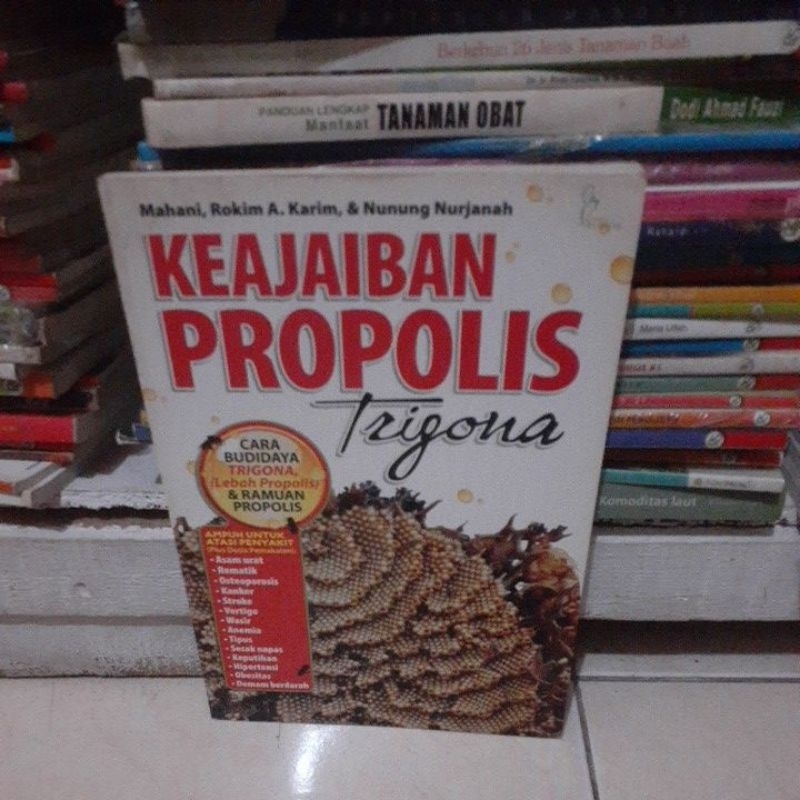 KEAJAIBAN PROPOLIS TRIGONA cara budidaya trigona lebah propolis & ramuan propolis
