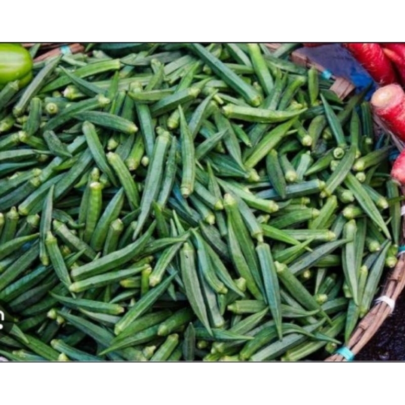 

Okra Segar kemasan 1kg