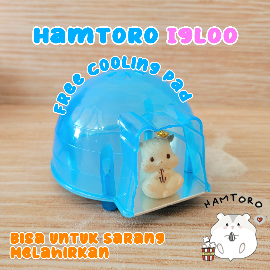 Hamtoro IGLOO FREE Cooling Pad Inside! Mainan Rumah Hamster