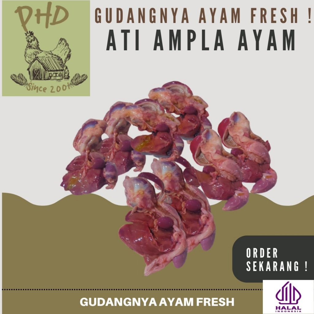 

AYAM PHD - ATI DAN AMPELA SEPASANG - ISI 10 BUAH - MURAH - BERSIH - SEGAR - BERKUALITAS - FRESH 1 KG