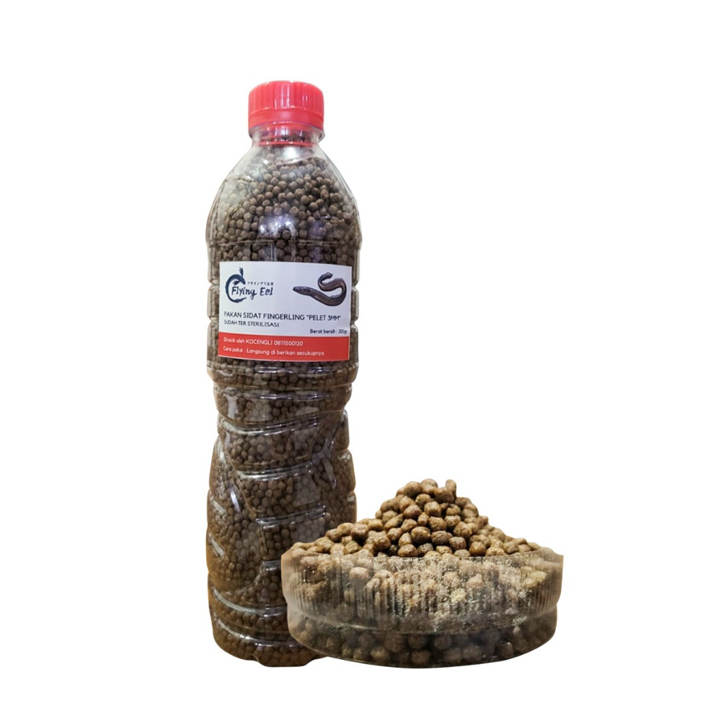 Flying Eel Pakan Ikan Sidat Fingerling Pelet 3mm