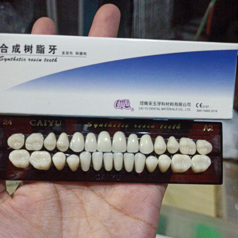 gigi palsu fullset isi gigi depan Graham atas bawah posterior anterior