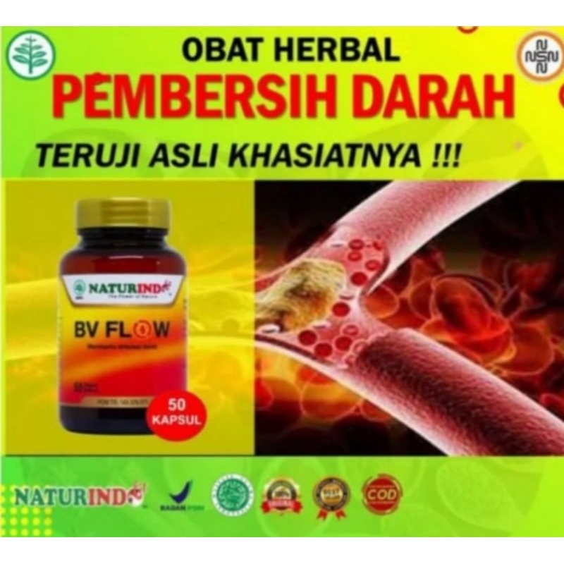 Bv Flow(penyumbatan darah)