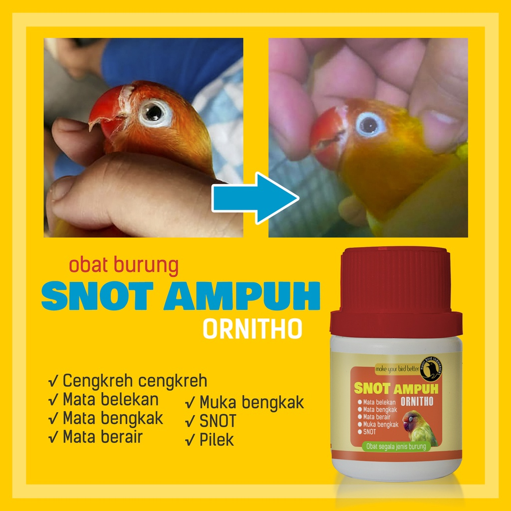 ORNITHO NUTRIBIRD OBAT SNOT AMPUH UNTUK BURUNG LOVEBIRD MURAI TRUCUK KENARI DLL