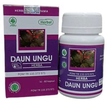 Kapsul DAUN UNGU Mengobati Wasir, Ambeien