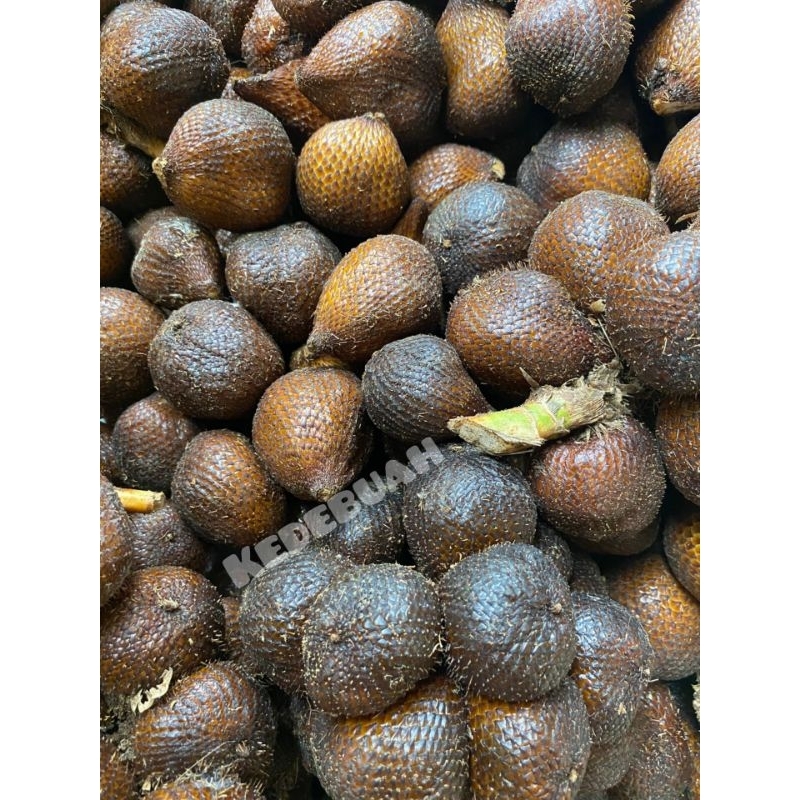 

Salak Bali Gula Pasir (Buy 1 Kg free 1 Kg)