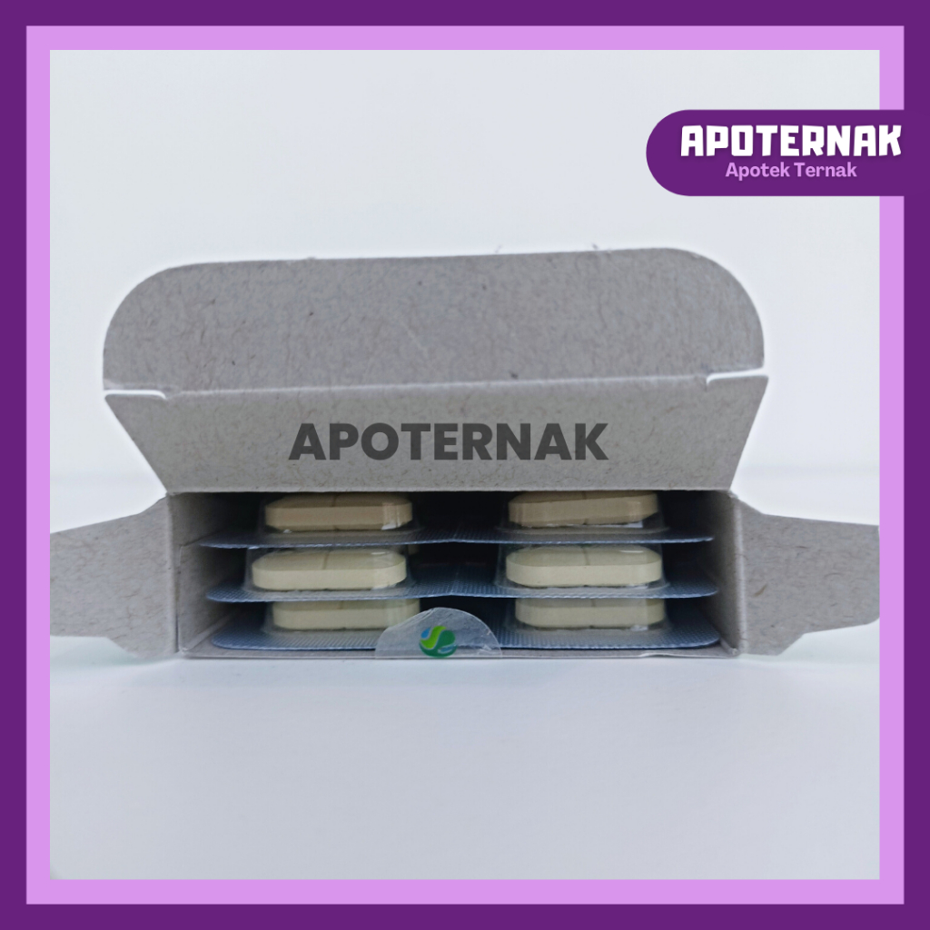 ANTHEL DOG Ecer 1 Tablet (Blister) Obat Cacing Spektrum Luas Untuk ANJING by Kalbe | Harga 1 Tablet Blister