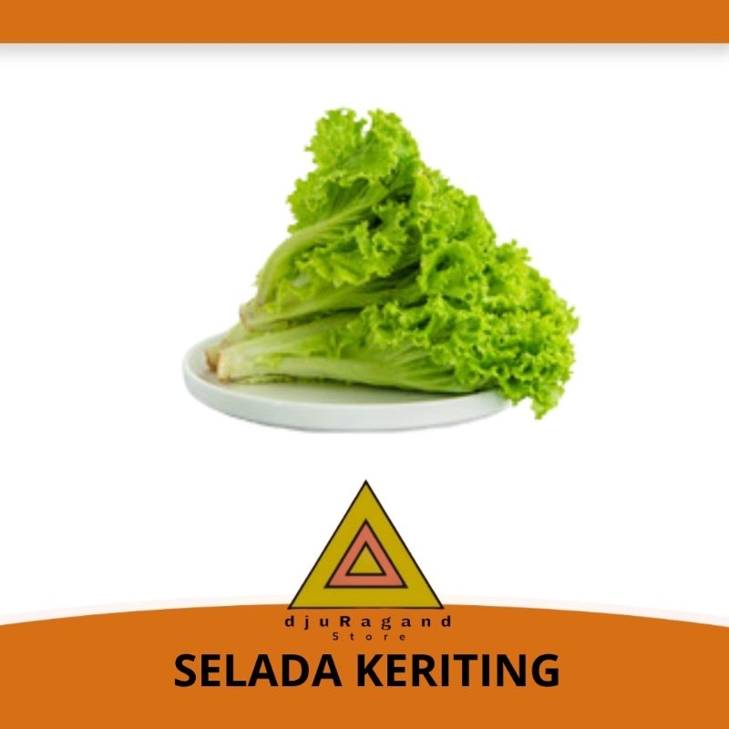 

DAUN SELADA KERITING fresh