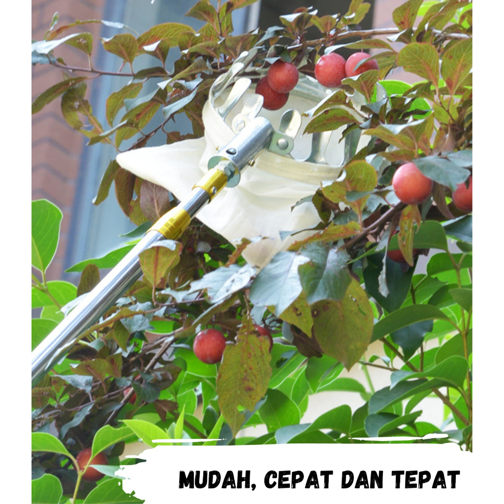 Alat Pemetik Buah Metal Fruit Picker / Alat Bantu Petik Pengambil Buah 6m