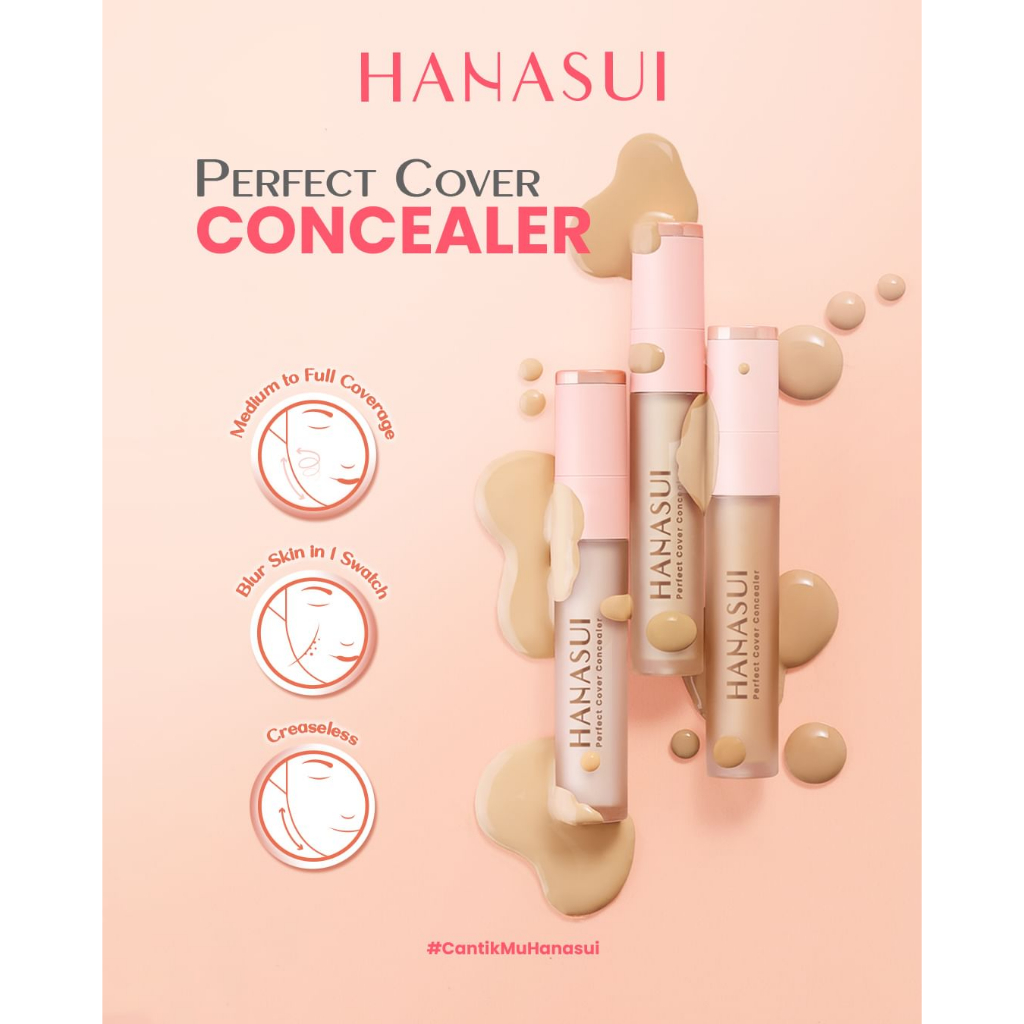 HANASUI Perfect Cover Concealer - 4.5gr