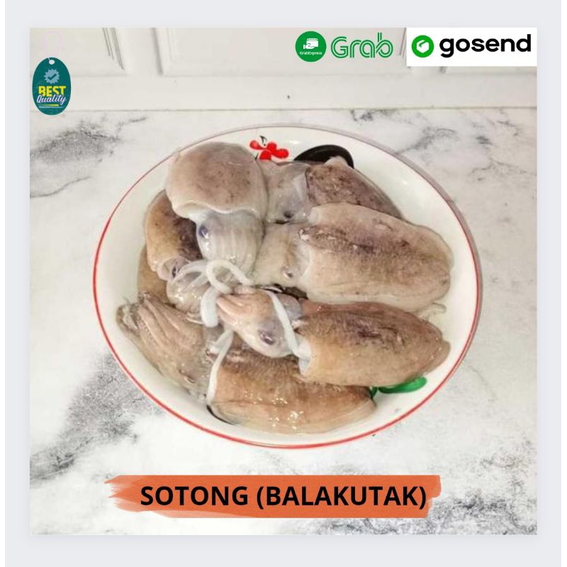 

Sotong (Balakutak) Segar - 1000gr