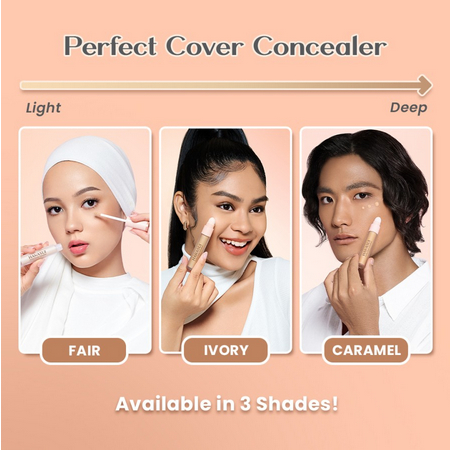 HANASUI Perfect Cover Concealer