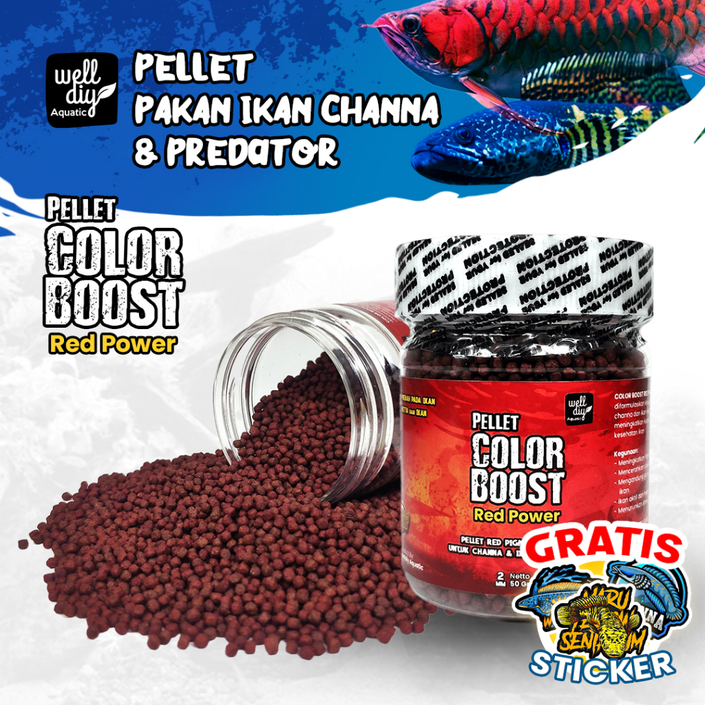 Pakan Chana Pelet Ikan Channa Carophyll COLOR BOOSTER Red Pigment