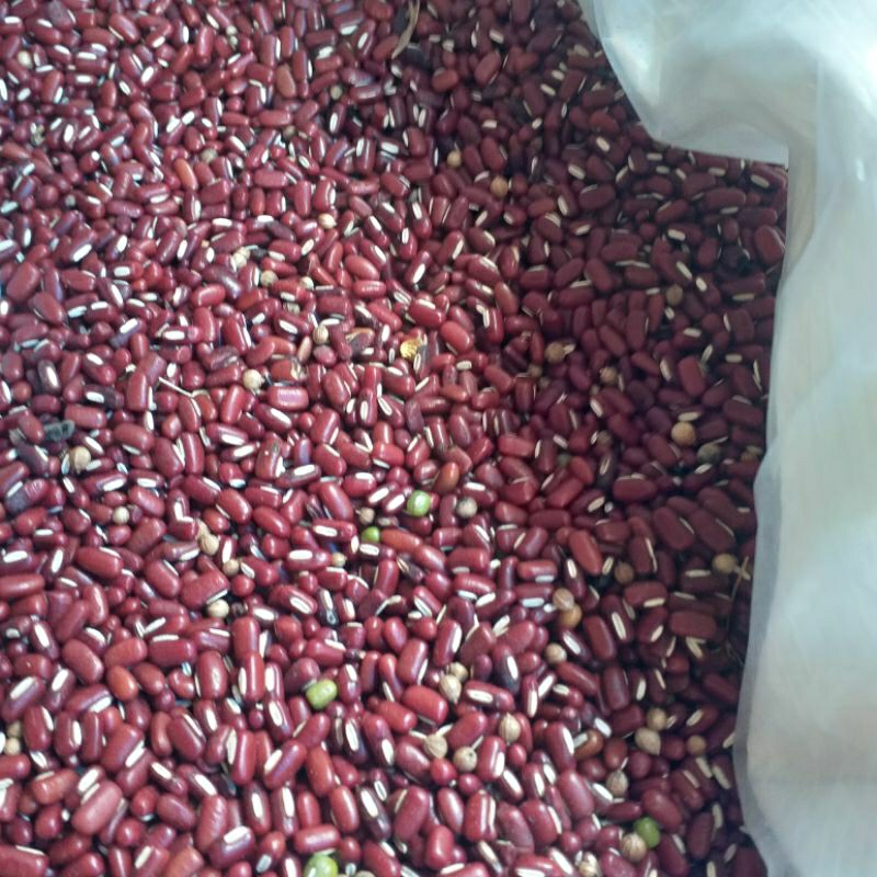 

kacang Merah es /Kecil 250gr