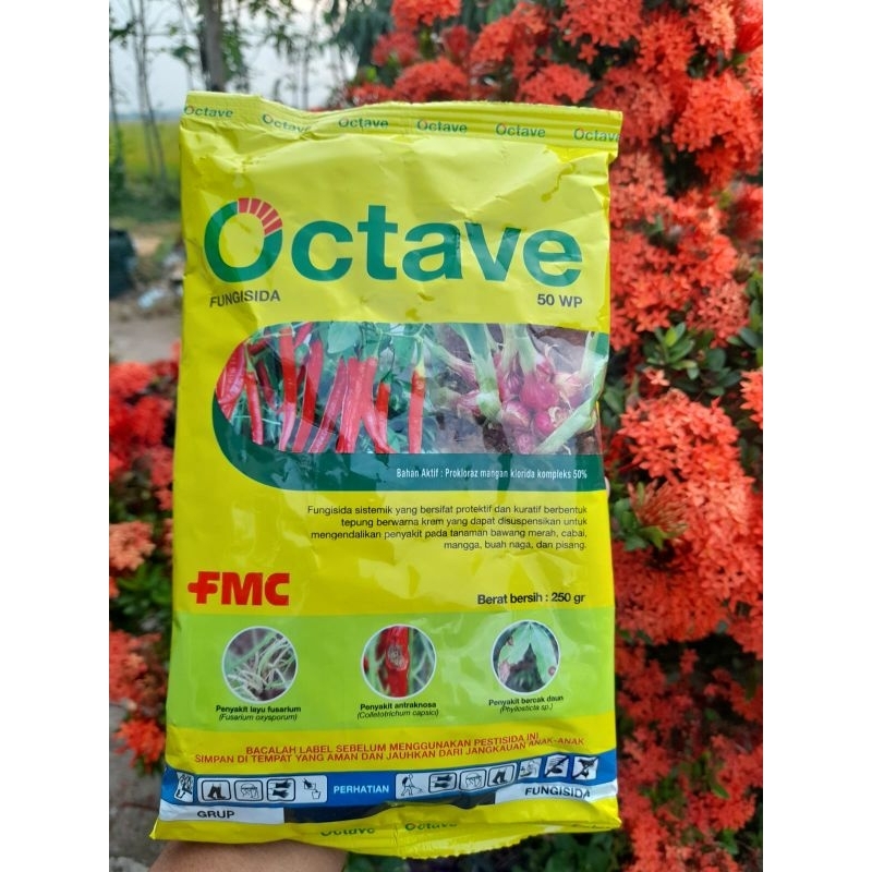 Fungisida Octave 50WP 250gr