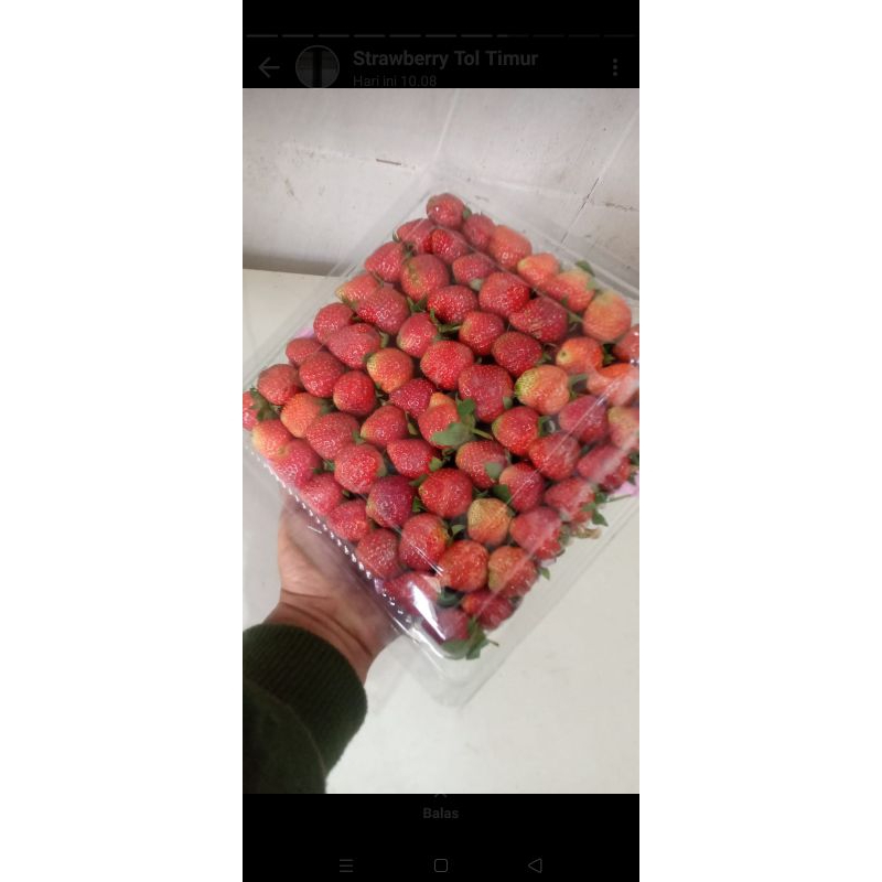 

buah strawberry fresh asli Ciwidey kemasan 900gram