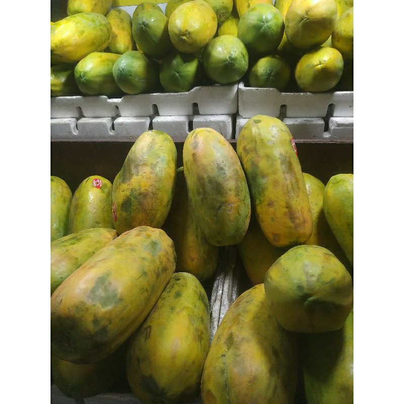 

PEPAYA CALIFORNIA LOKAL PER/PCS