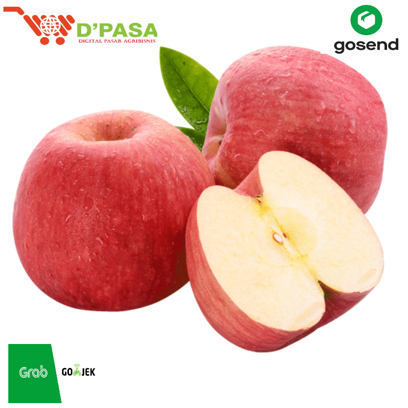

KIRIM INSTAN Buah Segar Apel Fujii Import Premium 500gr Manis Jus