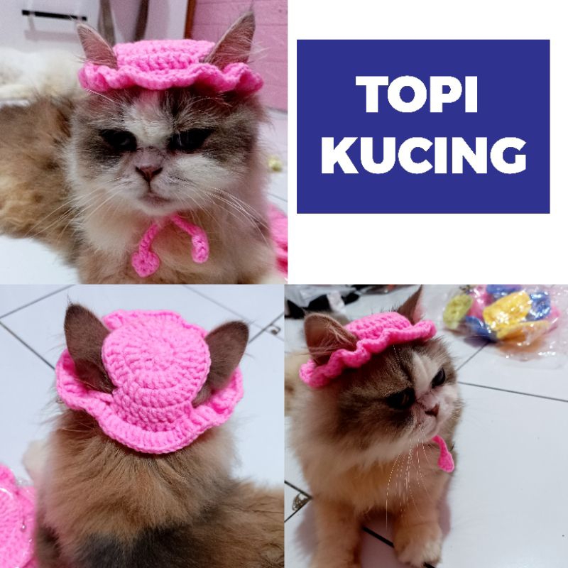 TOPI KUCING