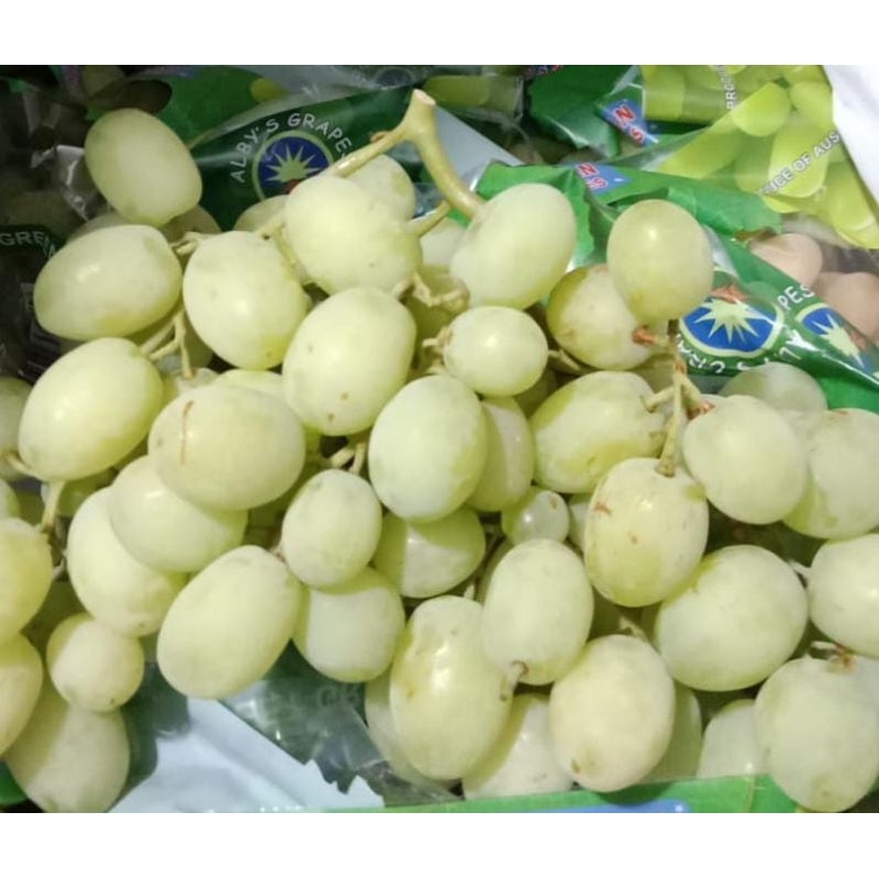 

Anggur Cotton candy - Anggur Hijau Gulali rasa dan wangi permen kapas seedless