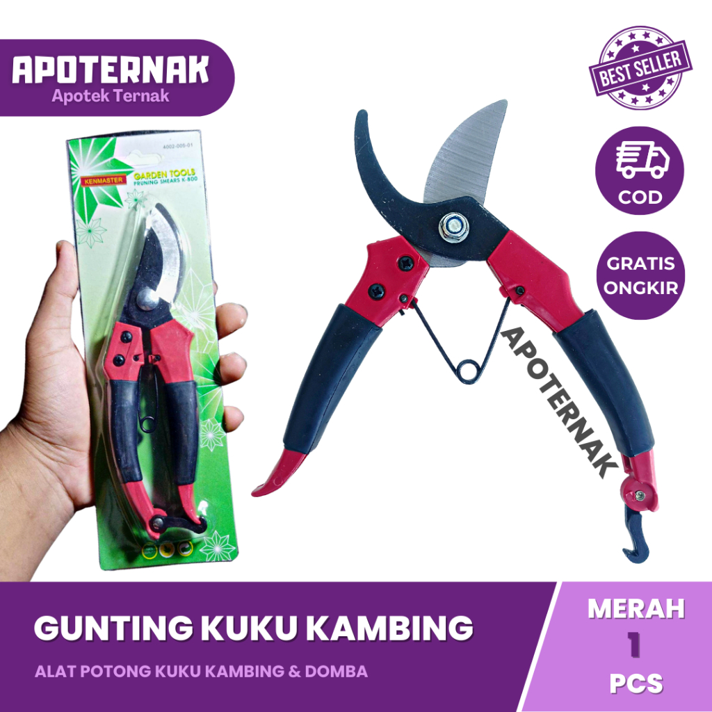 GUNTING KUKU KAMBING DOMBA MERAH 1 Pcs | Gunting Pruning Tanaman Hias Sheep Nail Clippers | Apoternak