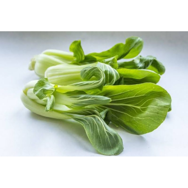 

sayur pakcoy segar 100gram-1 kiloan
