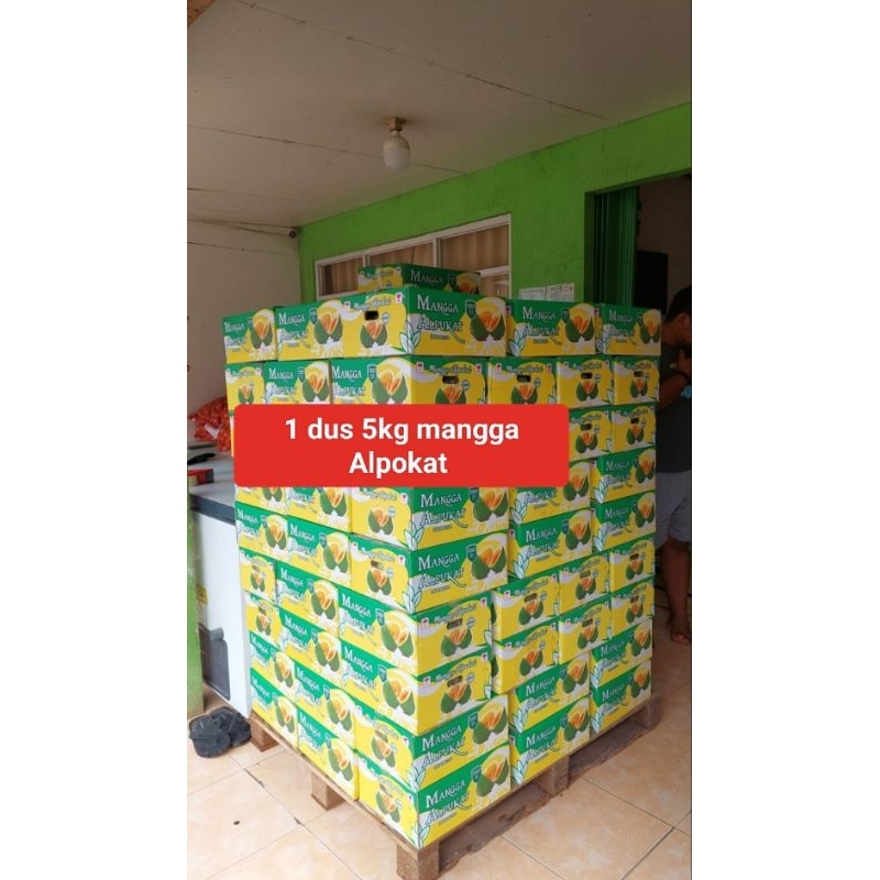 

mangga alpokat