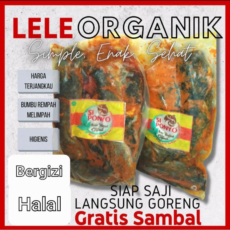 

lele organik free sambel