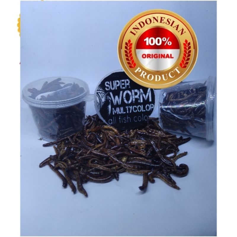 ulat jerman kering/ulat jerman kering super worm/jerman kering