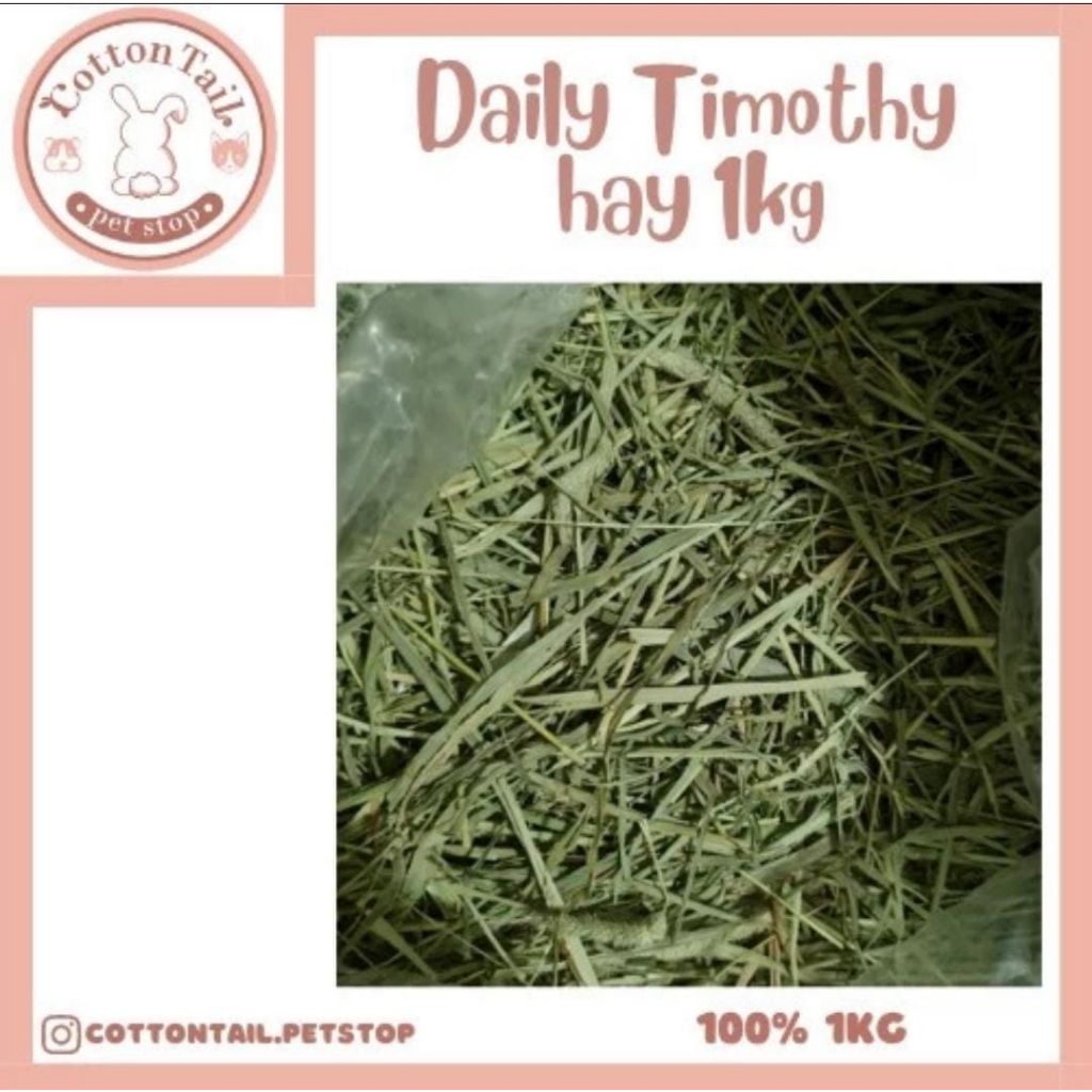 Makanan Kelinci Rumput DAILY Timothy Hay Best Choice Organic 1KG