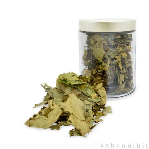 

50 GRAM DAUN JATI BELANDA LONDO GUAZUMA ULMIFOLIA YOUMU YE KERING / BUBUK