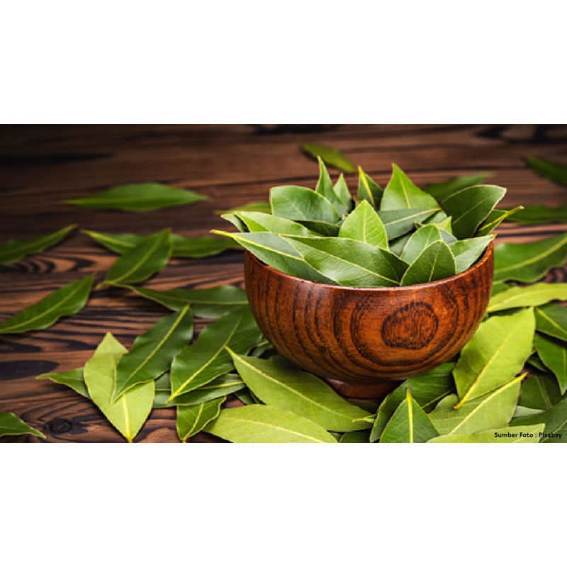 

daun salam/ sayuran segar/ sayur fresh