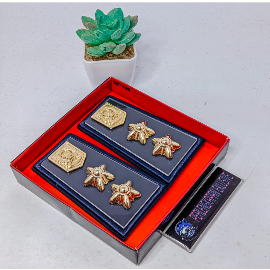 PANGKAT LURAH TERBARU LOGO KEMENDAGRI-PANGKAT LURAH-PANGKAT KELURAHAN-PDH LURAH-PANGKAT PDH LURAH-PA