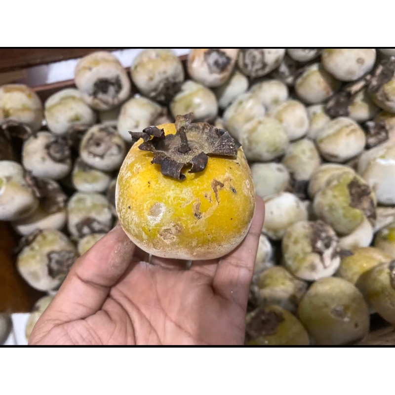 

buah kesemek lokal fresh per 1 kg