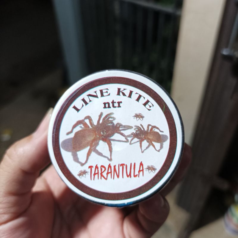 GELASAN ADUAN LAYANGAN LAYANG-LAYANG NTR SERIES TARANTULA 022