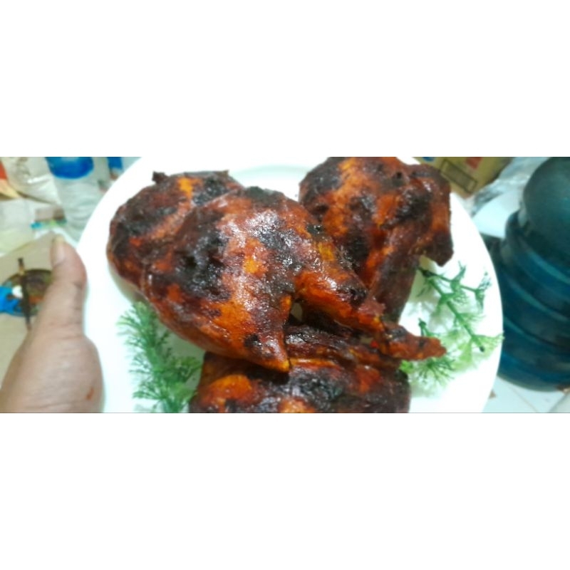 replika ayam bakar, ayam bakar artificial, ayam bakar pajangan ayam bakar palsilu,replika makanan